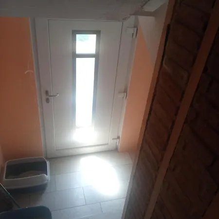 Bauernwohnung Appartement Waldmünchen